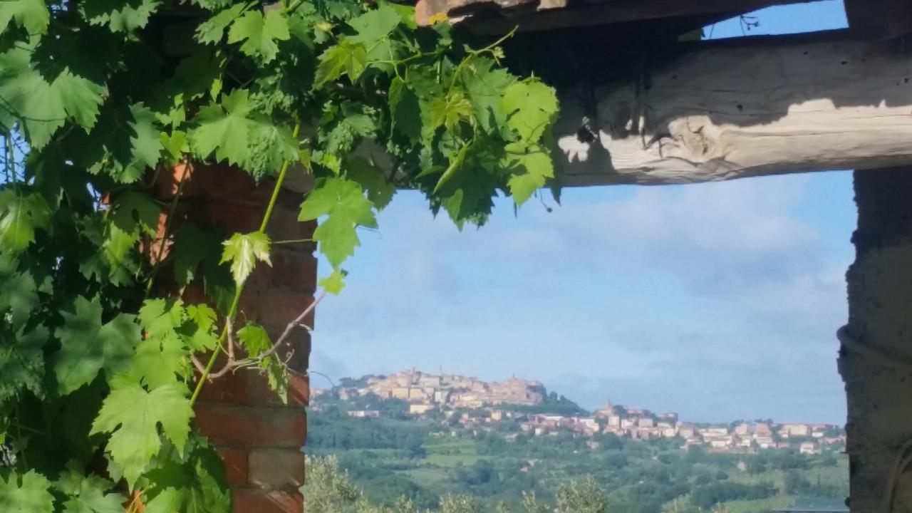 La Fenice B&B Montepulciano Stazione Buitenkant foto
