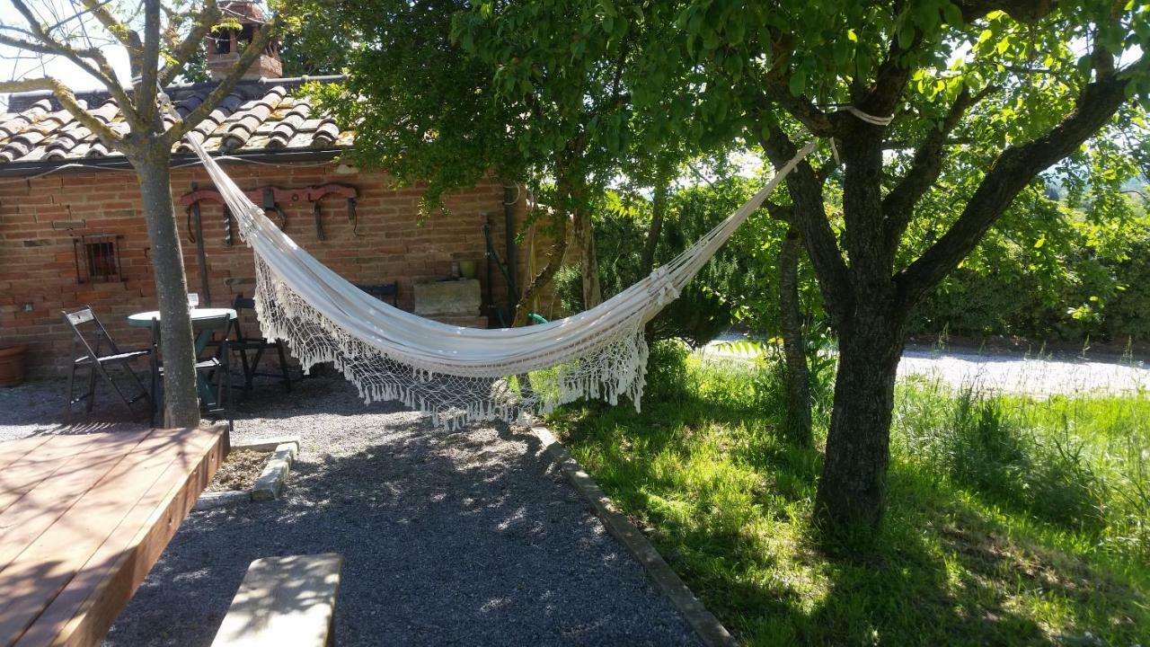 La Fenice B&B Montepulciano Stazione Buitenkant foto